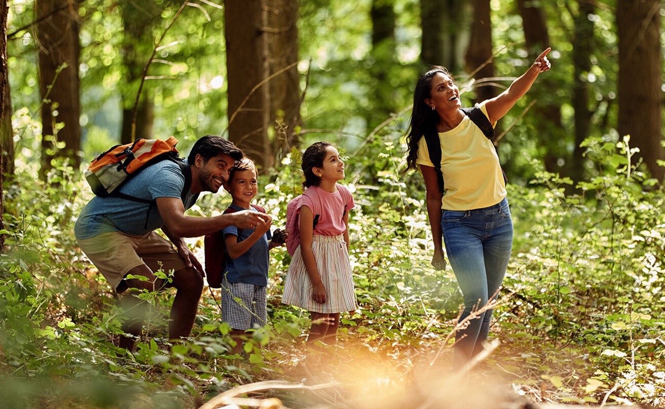 Tailored for Executives