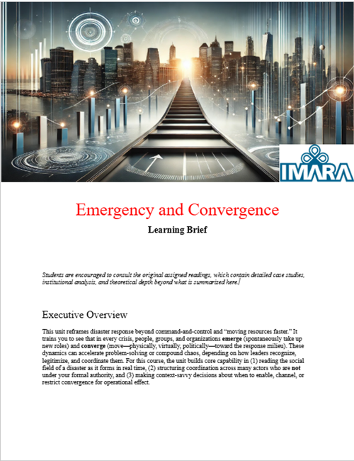 Sample Learning Brief